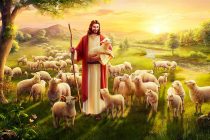 Các Mục Tử Hãy Gần Gũi Với Dân Chúa (03.05.2020 – Chúa Nhật IV Phục Sinh – Chúa Chiên Lành – Năm A)